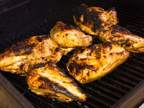 Fresh Grilled Chicken Breasts on the Barbecue