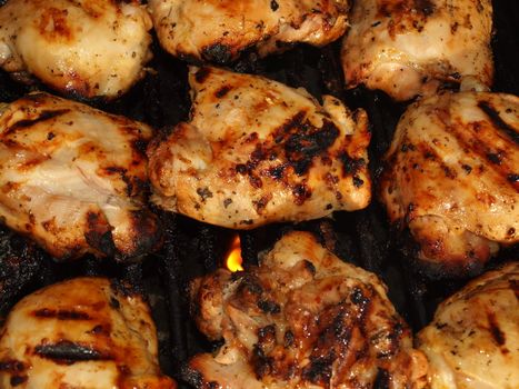 Fresh Grilled Chicken Cooking on the Barbecue