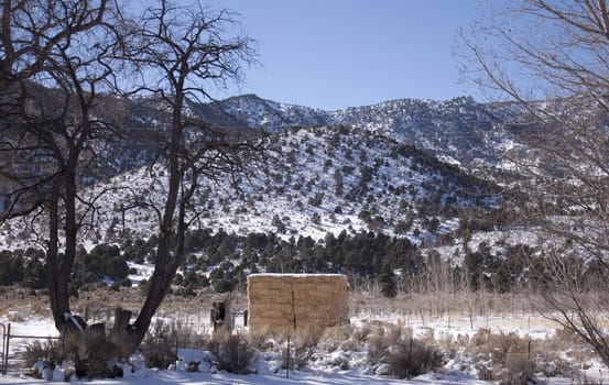 A high desert mountain range with snow on it.farm country