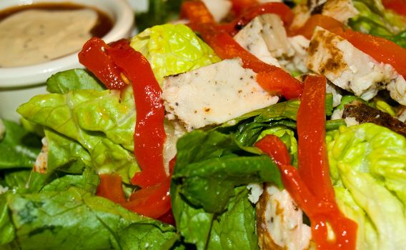 Healthy Salad with Lettuce, Red Peppers, and Chicken