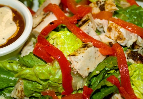 Healthy Salad with Lettuce, Red Peppers, and Chicken