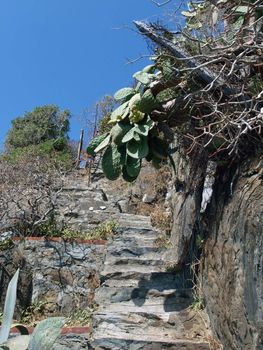 "Via dell amor" of Cinque Terre - Liguria Italy.Oone from most beautiful in Italy of for pedestrians paths for lovers ne from most beautiful in Italy of for pedestrians paths for lovers