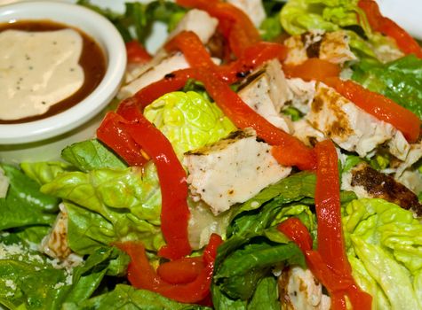 Healthy Salad with Lettuce, Red Peppers, and Chicken