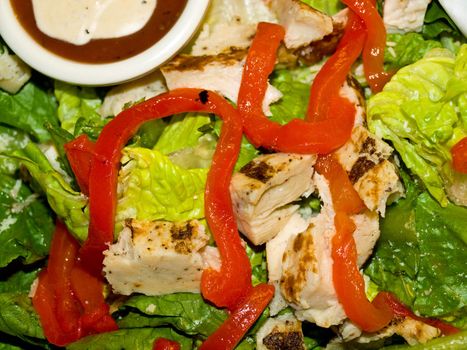 Healthy Salad with Lettuce, Red Peppers, and Chicken