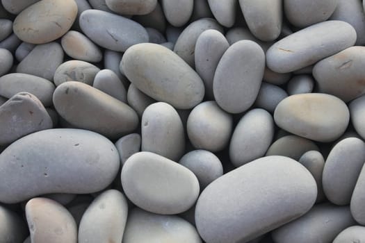 Seacoast bebbles
