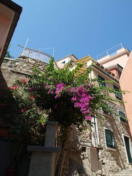 Manarola - one of the cities of Cinque Terre in italy