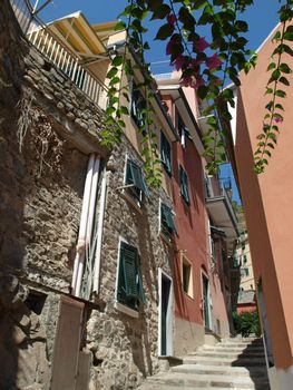 Manarola - one of the cities of Cinque Terre in italy