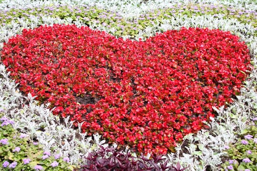Red heart on flower bed.