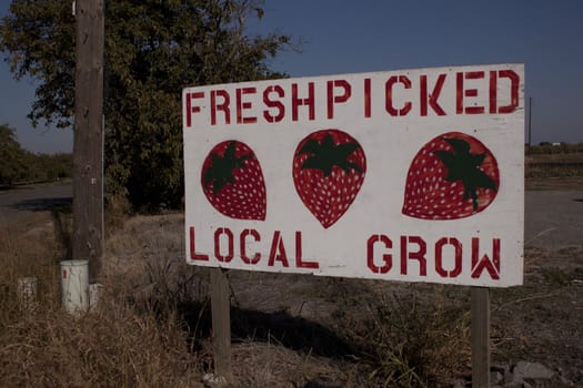 Fresh Picked locally grown strawberry sign 