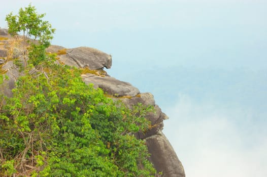 High cliffs Iin the rainforest, at chanthaburi Thailand.