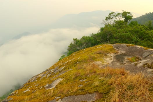 Moss-covered rocks in high cliffs  in the rainforest,Thailand.