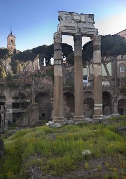 Ruins, Corinthian Columns, of the Forum of Julius Caesar Spring Flowers Rome Italy