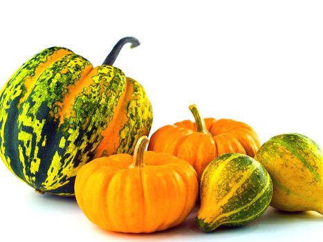 Mini Pumpkins Isolated on a White Background