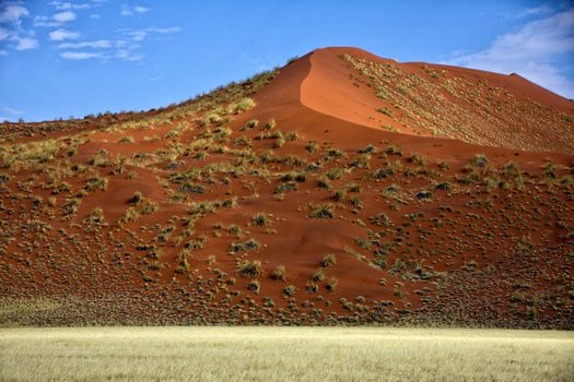 a big orange dune at Sossusvlei Namib Naukluft Park 