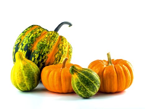 Mini Pumpkins Isolated on a White Background