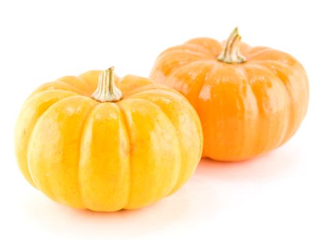 Mini Pumpkins Isolated on a White Background