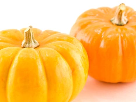 Mini Pumpkins Isolated on a White Background