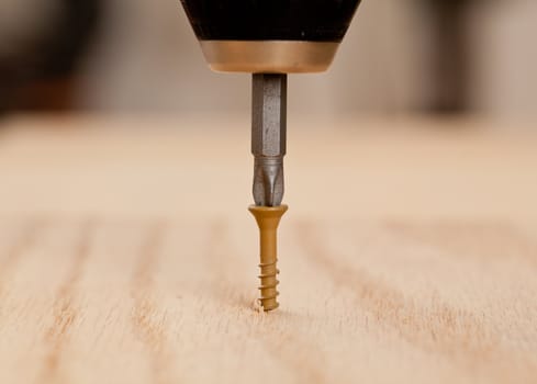 Brown screw being driven into wood by phillips bit in power drill