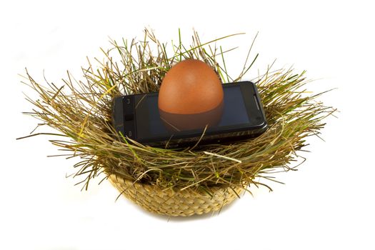 Poto The smartphone 3D in a nest