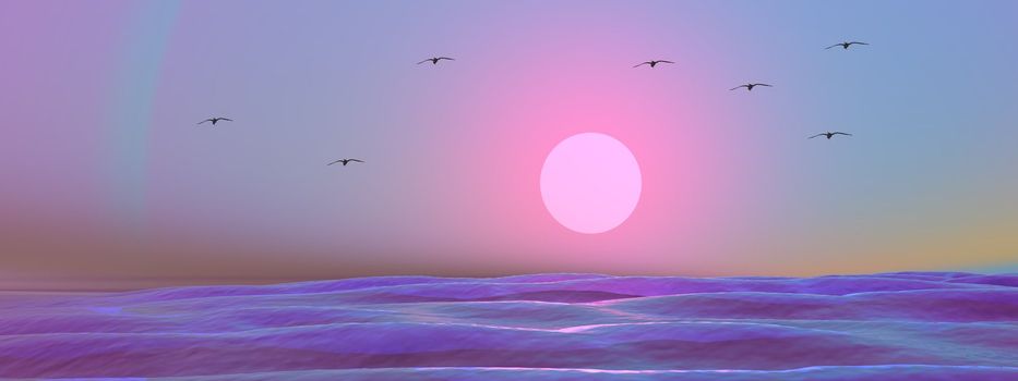 sea and birds