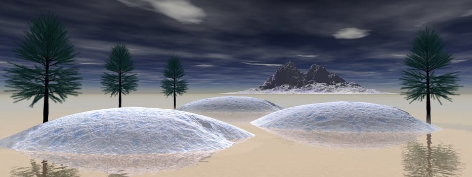 fir trees and mountain white
