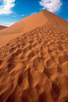 close up of the dune 45 near sossusvlei namibia africa