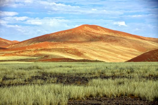 big orange dune at Sossusvlei Namib Naukluft Park Namibia 