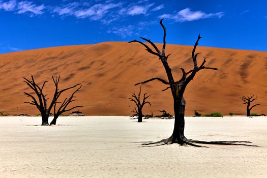 dead trees in front of a orange dune in deadvlei namib naukluft national park