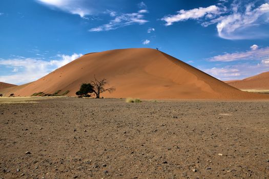 dune 45 near sossusvlei namibia africa