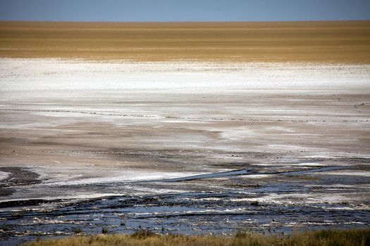 Etosha pan in etosha national park namibia