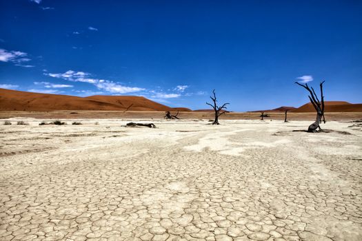 few dead trees in deadvlei namib naukluft park namibia africa