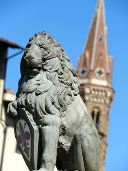 Florence - Lion Marzocco. the lion called marzocco created by donatello in the 15th century is a symbol of the florentine army in the middle age. located in piazza della signoria in front of the palazzo vecchio in florence italy