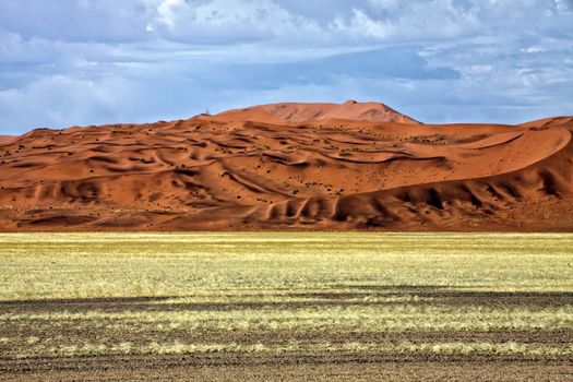 large dune in the namib naukluft park namibia africa