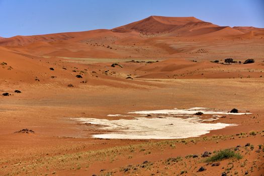 large dune in the namib naukluft park namibia africa near sossusvlei