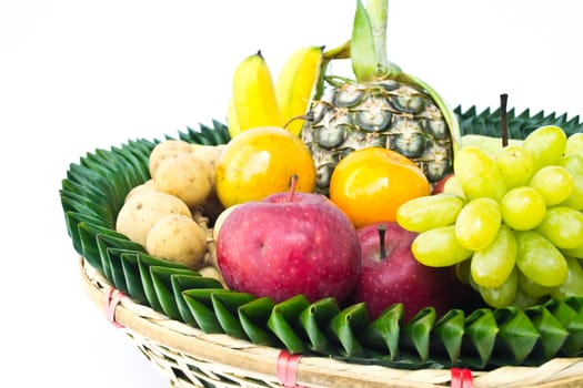 Fruit tray on a white background