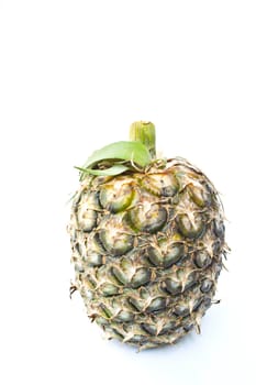 Pineapple on a white background