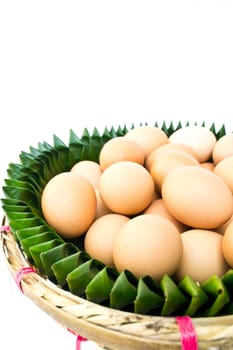 Egg on a white background