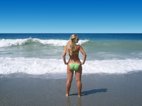 blond woman back at the seaside 