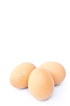 Egg on a white background