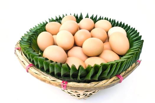 Egg on a white background