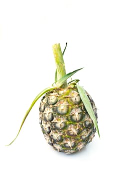 Pineapple on a white background