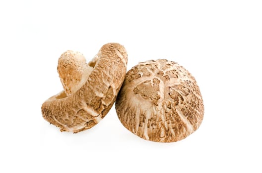 Shiitake mushrooms isolated on white