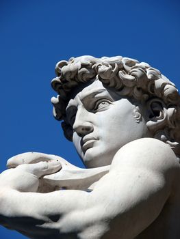Florence - The statue of David by Michelangelo in Piazza Signori