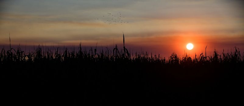 sunset at etosha national park