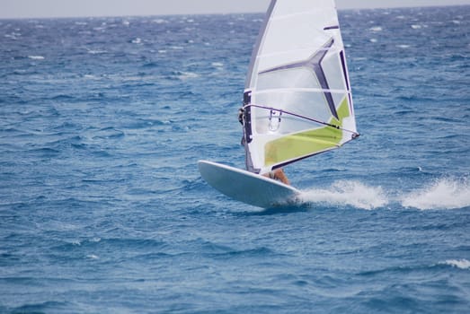 windsurfing  on the move 