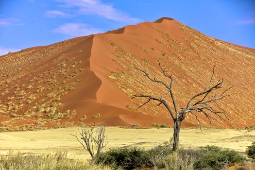 vast dune at Sossusvlei namib naukluft park namibia africa