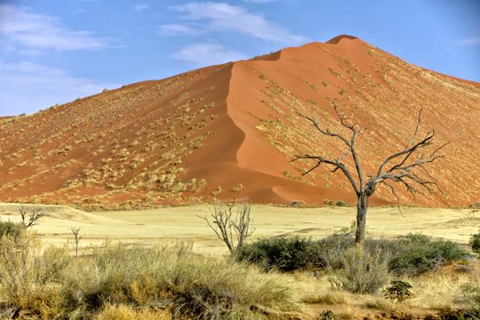vast dune at Sossusvlei namib naukluft park namibia