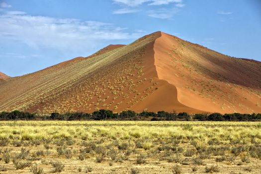 vast orange dune at Sossusvlei namib naukluft park namibia