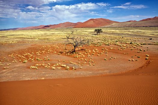 view from the une 45 near sossusvlei namibia africa