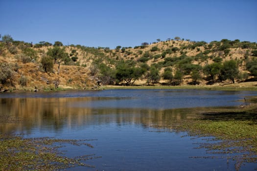 waterhole at daan viljoen game park namibia africa